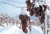 Ʋɲ֪4c(din)С֪R(sh)