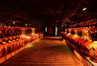 ʲô׾ƾƽѱȰ׾ƾƿ(ch)Ƹã